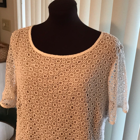 Christopher Banks Knitted Swiss Dot Lace Tee, Lined, Zip-Back - Picture 1 of 8